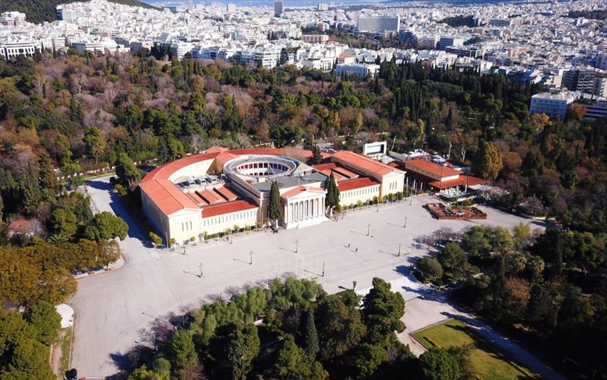 zappeio