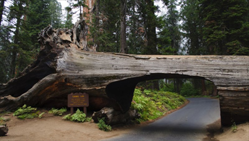 merikes-apo-tis-pio-asunithistes-siragges-tou-kosmou