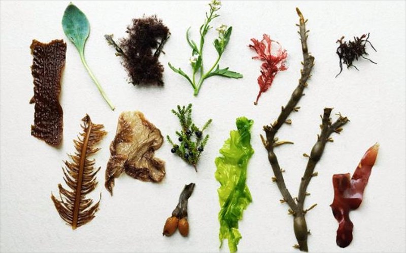 noma-i-epistrofi-tou-pio-diasimou-estiatoriou-tou-kosmou-epistrofi-tou-pio-diasimou-estiatoriou-tou-kosmou