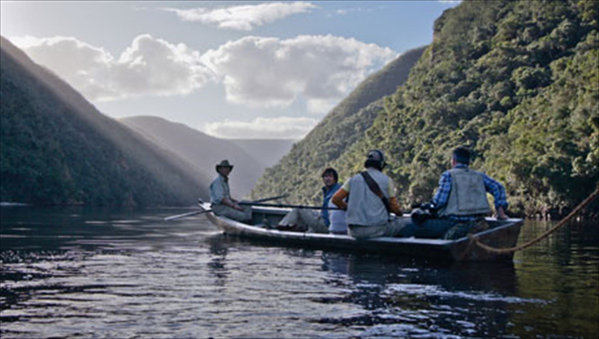 oikogeneiakes-boltes-medeinosaurous