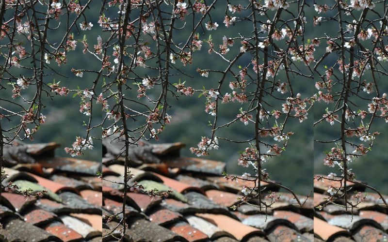 mia-fotografiki-apodrasi-etoimazetai-mesa-ston-martio