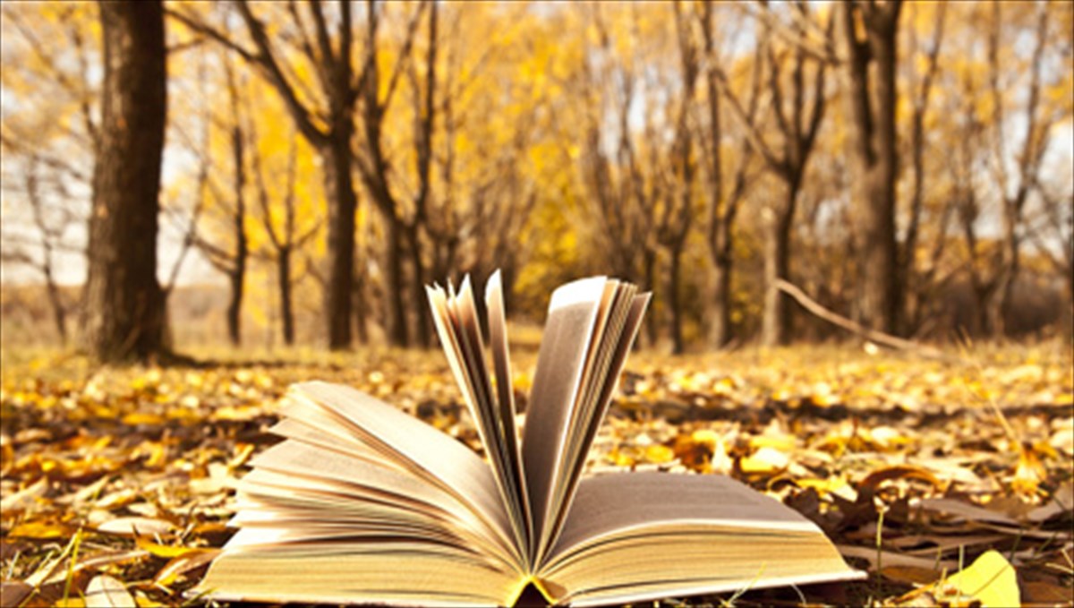 o-kostas-akribos-se-logotexniki-periodeia-sti-germania