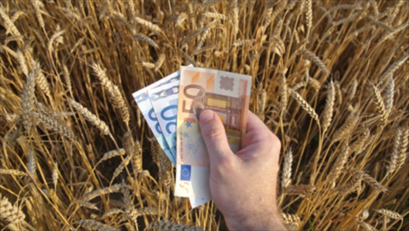 oi-7-pio-oikonomikoi-tropoi-gia-na-trefeste-ugieina-pio-oikonomikoi-tropoi-gia-na-trefeste-ugieina