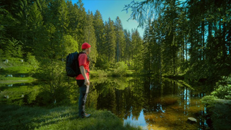 melanas-drumos-o-germanikos-paradeisos-me-tous-koukous-germanikos-paradeisos-me-tous-koukous