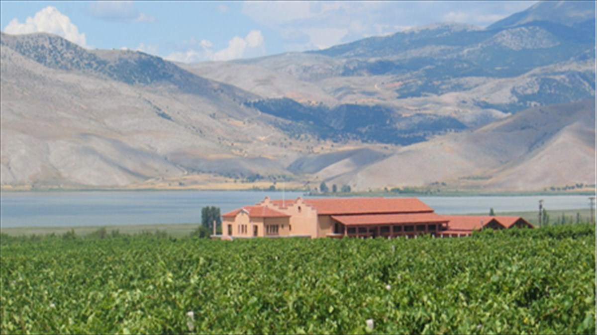 ktima-alfa-stin-kardia-ton-ampelonon-tou-amuntaiou