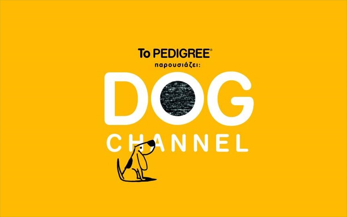 pedigree-dog-channel