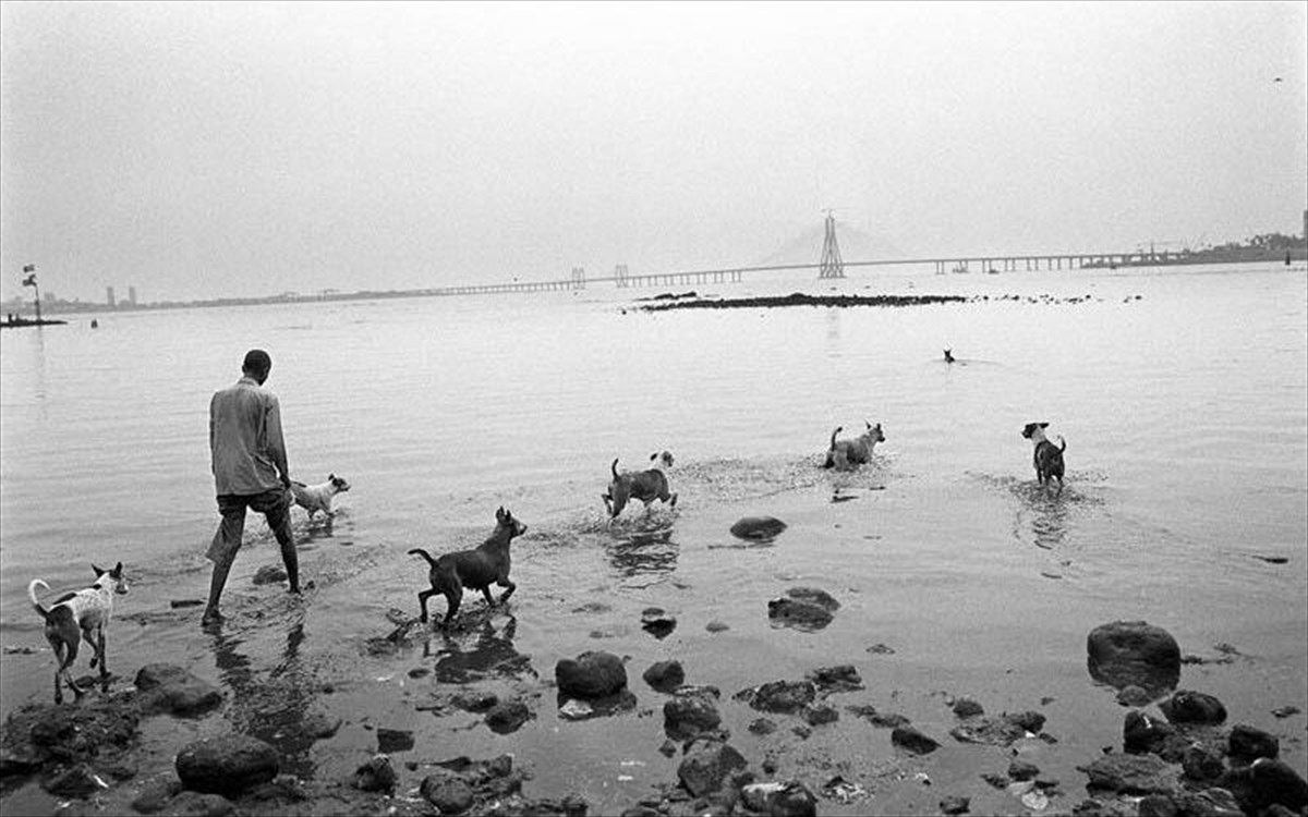 trilogia-tis-siopis3