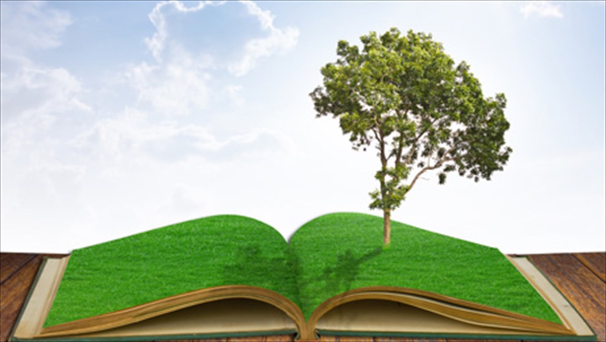 zigk-zagk-stis-nerantzies-epanekdosi-tou-brabeumenou-muthistorimatos