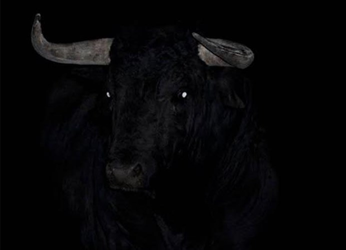 i-kolektiba-el-conde-de-torrefiel-anazita-ermineutes-gia-to-festibal-athinon