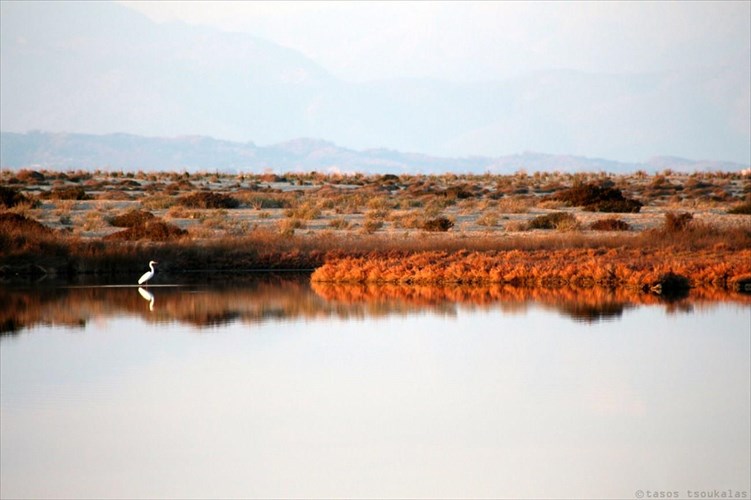 taksidi-stin-ellada-mesa-apo-ton-fako-tou-tasou-tsoukala