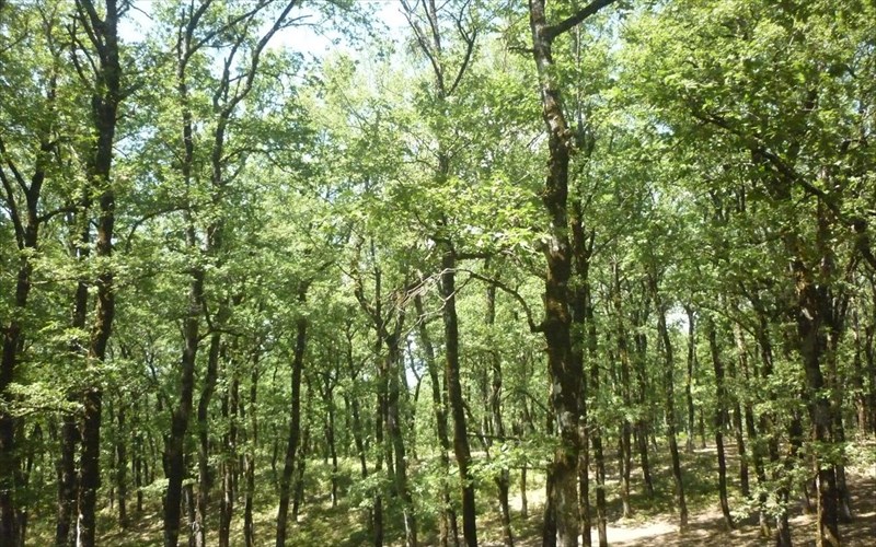 i-ellada-meteksetastea-stin-prostasia-tou-periballontos