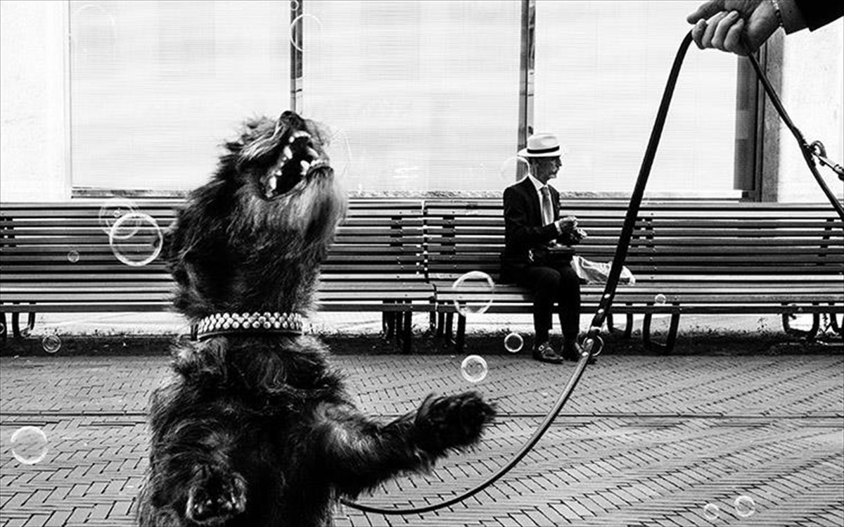 merel-schoneveld--netherlands-netherlands