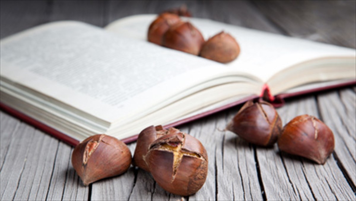 ta-mikra-aristourgimata-tou-fernanto-pessoa