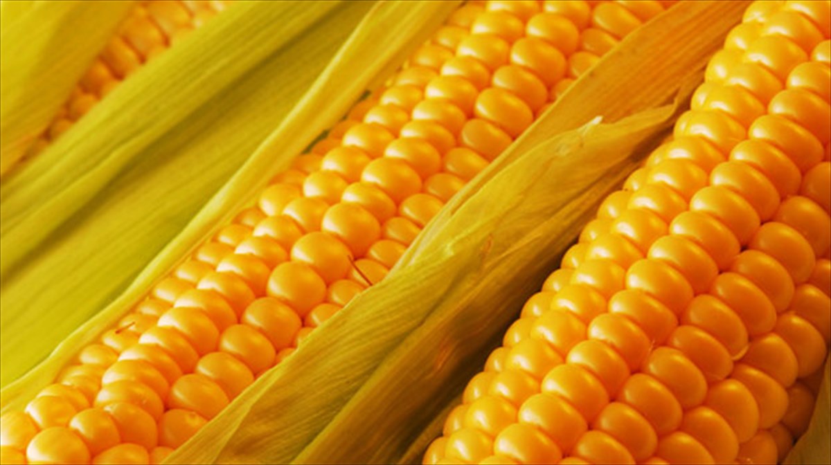 kalampoki-polutimo-kai-threptiko