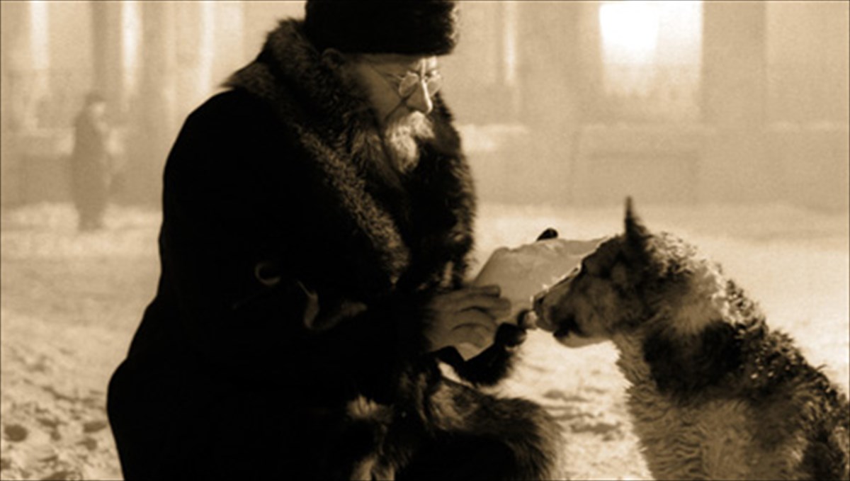 i-kardia-enos-skulou-enas-rosikos-frankestain