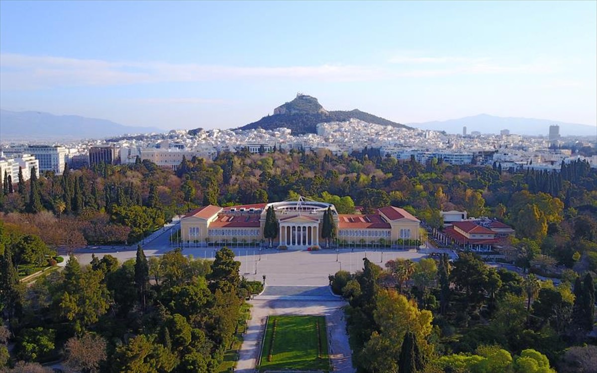 zappeio