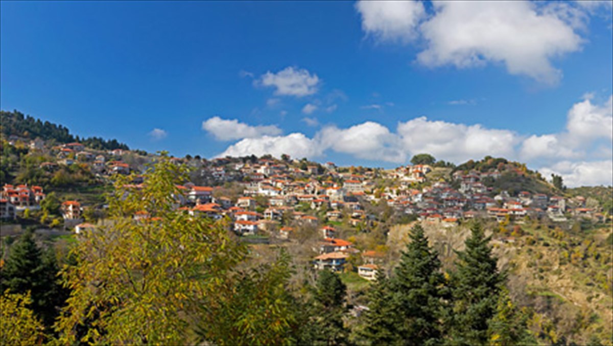 baltesiniko-arkadias-petra-kai-elata-se-olo-tous-to-megaleio