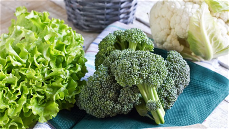 5-xeimoniatikes-dunamotikes-kai-geustikes-trofes-xeimoniatikes-dunamotikes-kai-geustikes-trofes