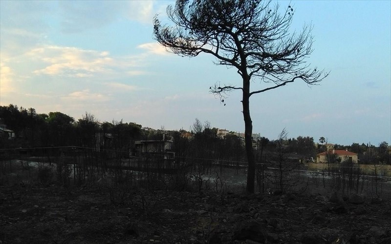 i-rafina-tis-teleutaies-ores-meta-tin-purkagia