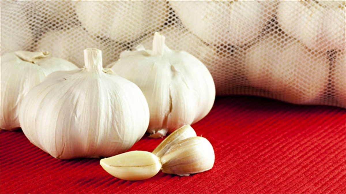 to-skordo-katapolema-tin-upertasi