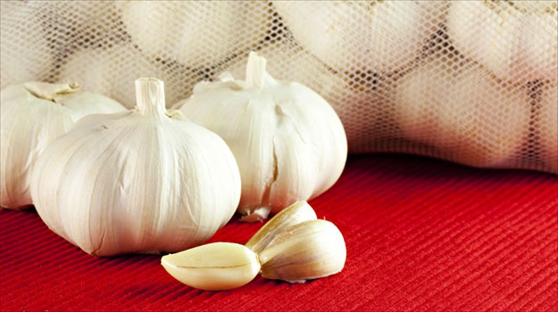 to-skordo-katapolema-tin-upertasi