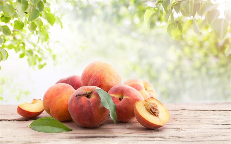 pos-na-dialegete-ta-kalutera-rodakina