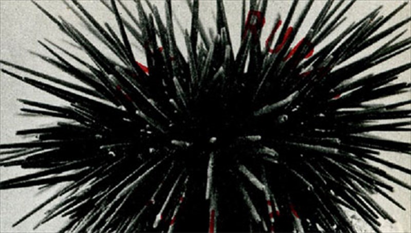 o-david-gates-nostalgei-to-parelthon