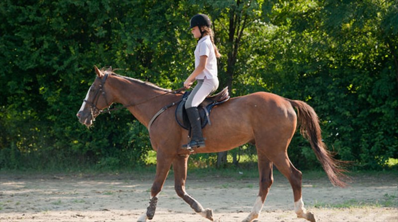 otan-i-ippasia-therapeuei-ippasia-therapeuei