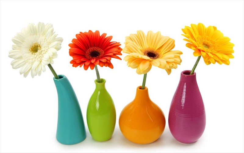 akomi-na-agorasete-bazo-gia-ta-louloudia