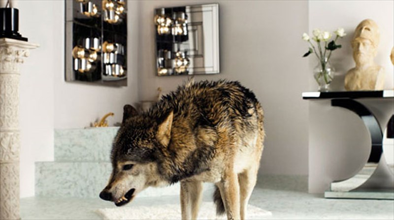 diskokritiki-grinderman-2-grinderman