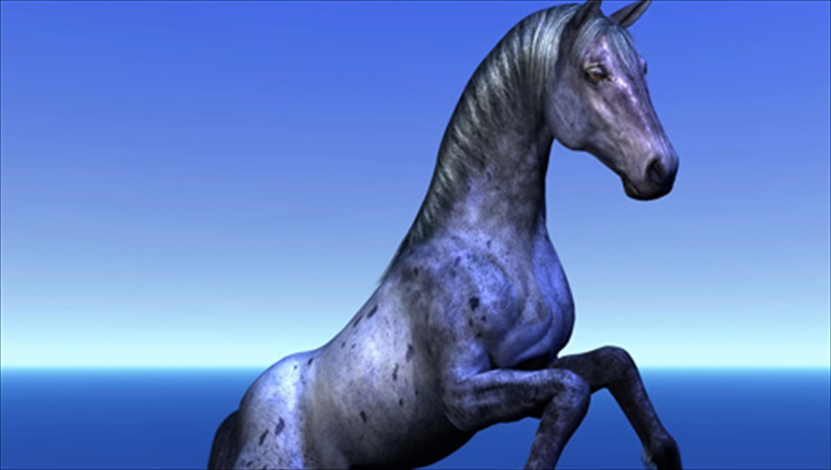 o-giteutis-ton-alogon-to-muthistorima-mias-kinimatografikis-epituxias