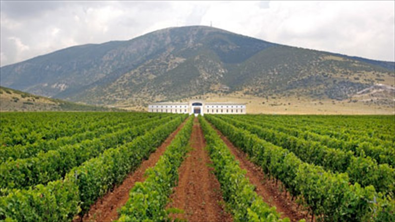 ktima-paulidi-i-dunami-tis-dramas-mesa-se-ena-mpoukali