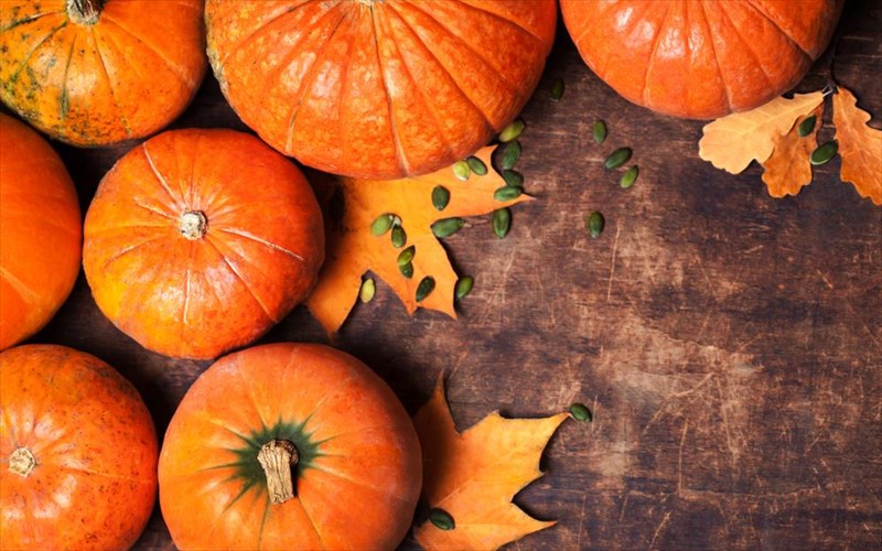 kolokutha-7-logoi-na-ti-balete-sto-piato-logoi-na-ti-balete-sto-piato