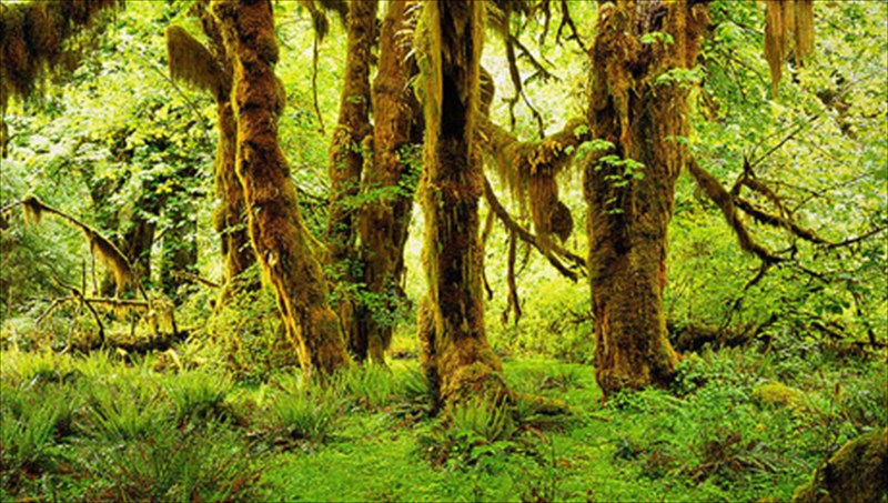 7kai1-meri-opou-basileuei-i-siopi-siopi