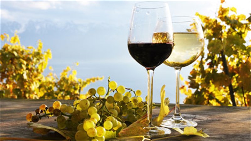 stis-2-3-kai-4-martiou-i-ekthesi-oinotika-2013-ekthesi-oinotika-2013