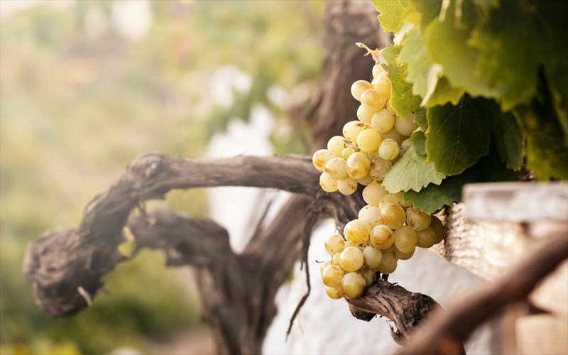 ti-sumbainei-me-to-asurtiko