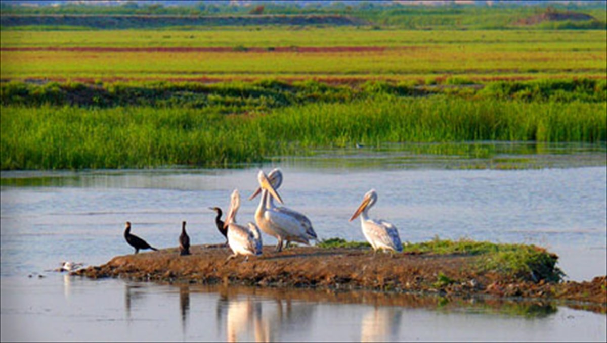 delta-ebrou-i-apotheosi-tis-fusis