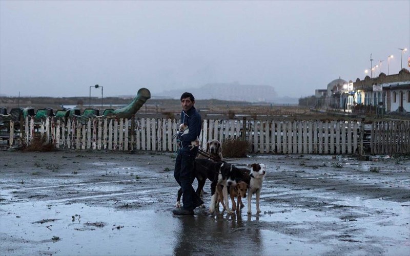 dogman-omatteogarroneeksetazei-tin-psuxologia-tis-bias