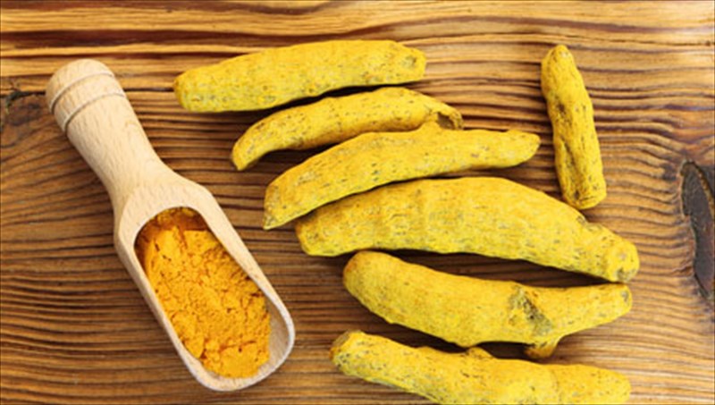 kourkoumas-to-antikarkiniko-sustatiko-tis-indikis-kouzinas