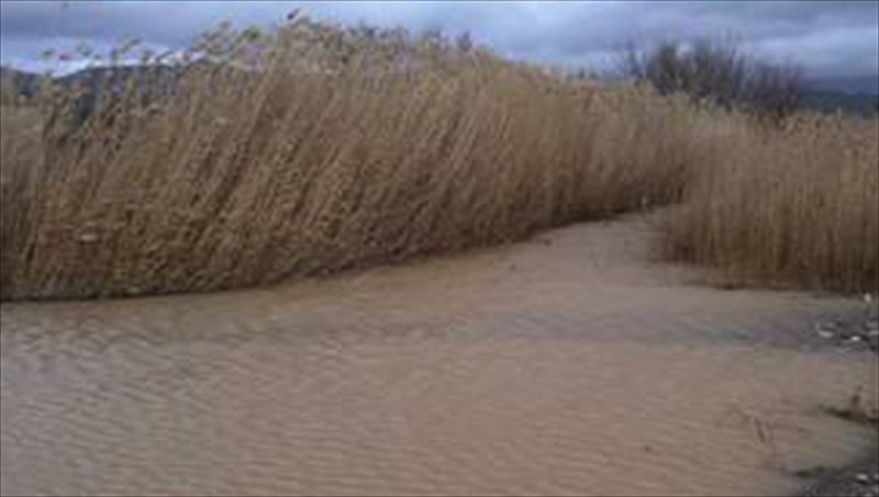 tou-theou-to-mati-kai-i-logotexniki-matia-tou-g-makridaki-logotexniki-matia-tou-g-makridaki