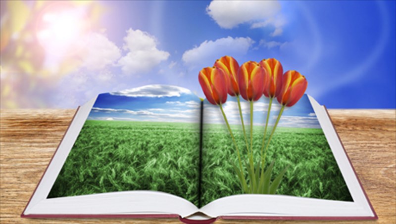 to-taksidi-tou-iasona-rembi-den-teleiose