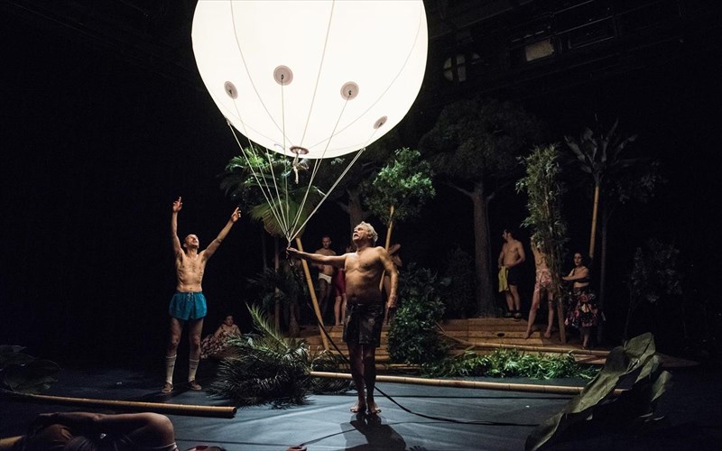 oi-ornithes-tis-stegis-stis-kaluteres-parastaseis-tou-2018-stin-ameriki