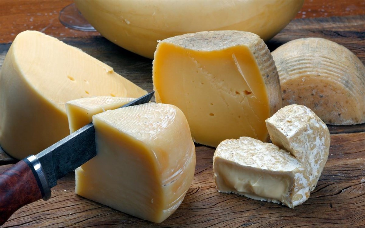 turi-cheese