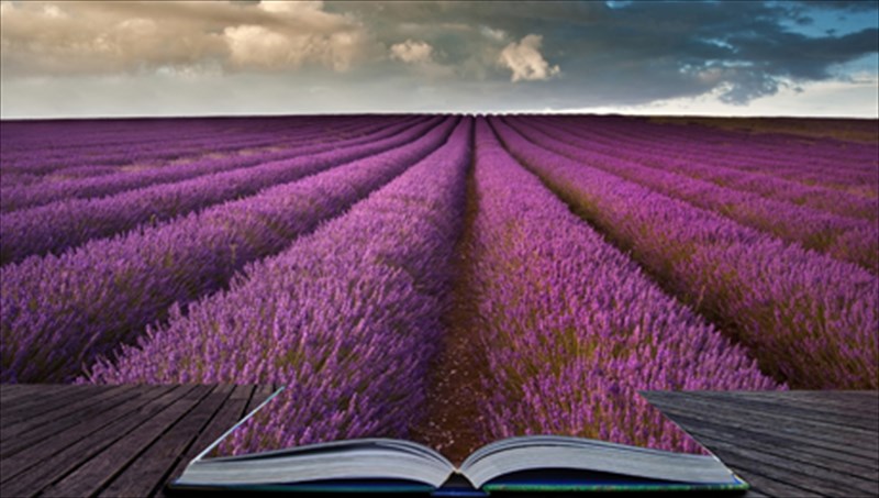 amanta-xokingk-to-teleutaio-meros-tis-trilogias-ton-tril