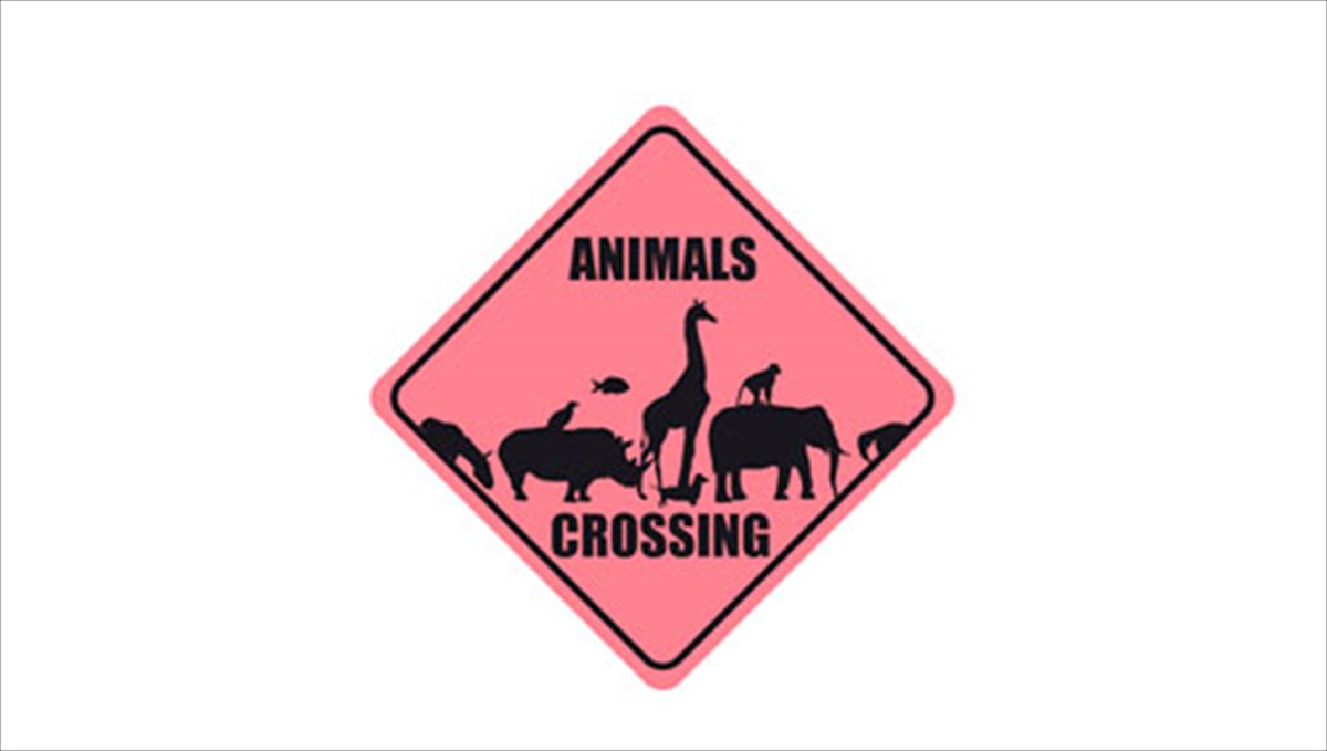 enas-zoologikos-kipos-sto-kolonaki