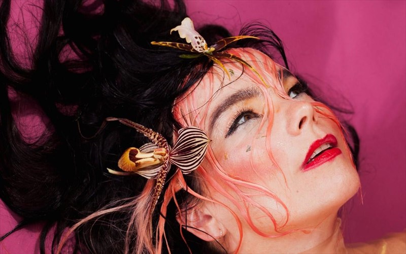 i-björk-stirizei-tin-tapeini-kaseta