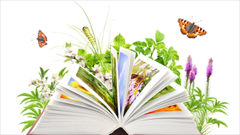 bibliofilikes-prakseis-gia-tin-pagkosmia-imera-bibliou