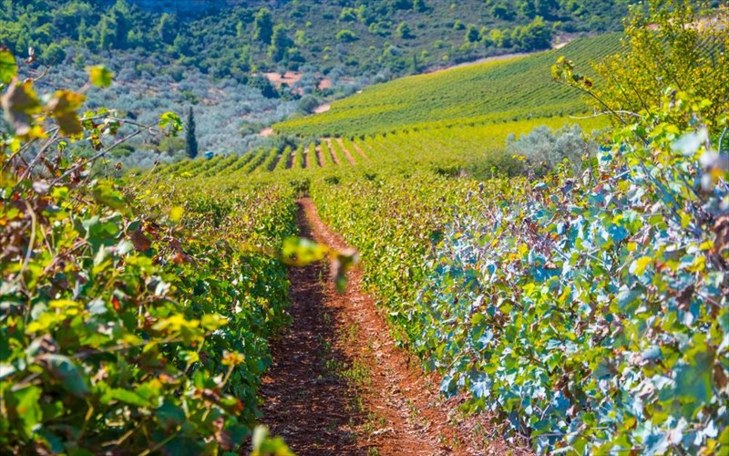 treis-monoimeres-ekdromes-ston-anoiksiatiko-ilio