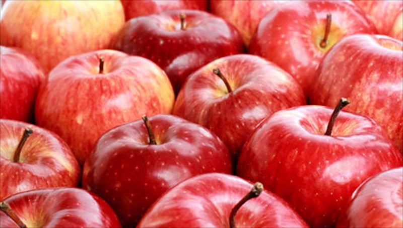 trofes-gia-droseri-anapnoi