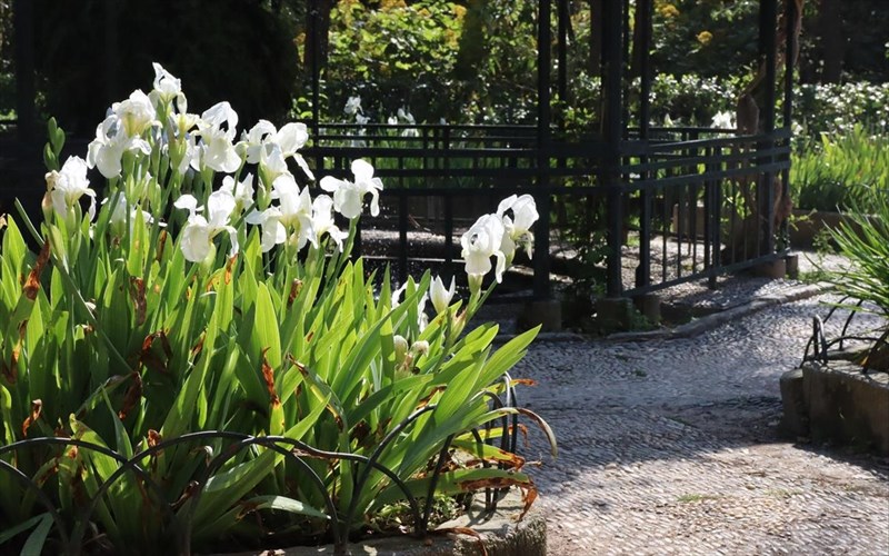 pos-einai-mia-fotobolta-ston-ethniko-kipo